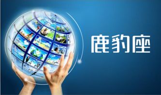 網絡營銷策劃 信息網絡經營游戲產品的多元化方法與實戰(zhàn)策略